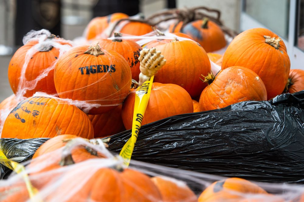 Hull City Halloween Activities ahead of Preston!